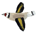 Flyingbird1