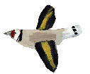 Flyingbird3