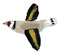 Flyingbird4