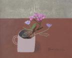 Dark primulas